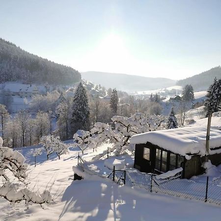 Wohnung Im Tonbachtal/ Baiersbronn Mit Traumausblick מראה חיצוני תמונה