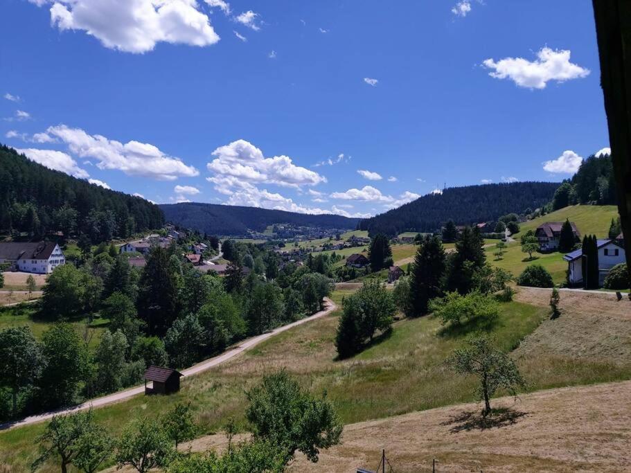 Wohnung Im Tonbachtal/ Baiersbronn Mit Traumausblick מראה חיצוני תמונה