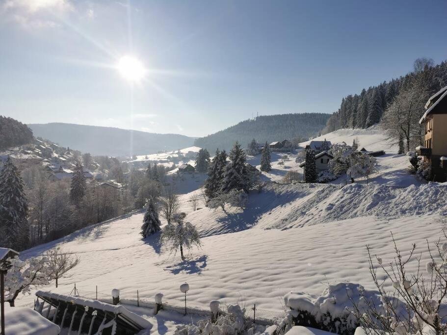 Wohnung Im Tonbachtal/ Baiersbronn Mit Traumausblick מראה חיצוני תמונה