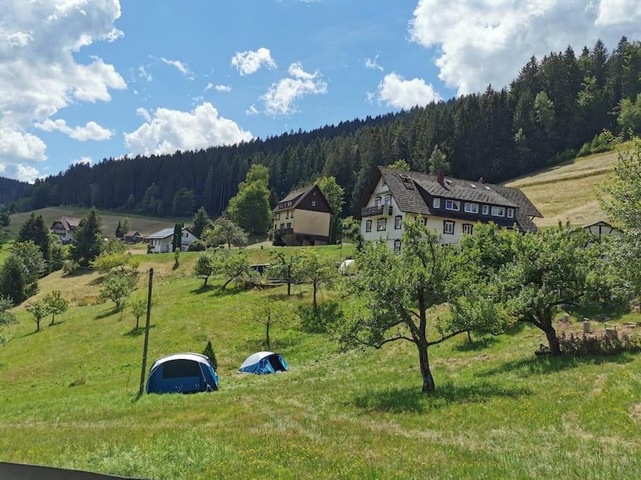 Wohnung Im Tonbachtal/ Baiersbronn Mit Traumausblick מראה חיצוני תמונה